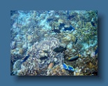 Helengeli 323